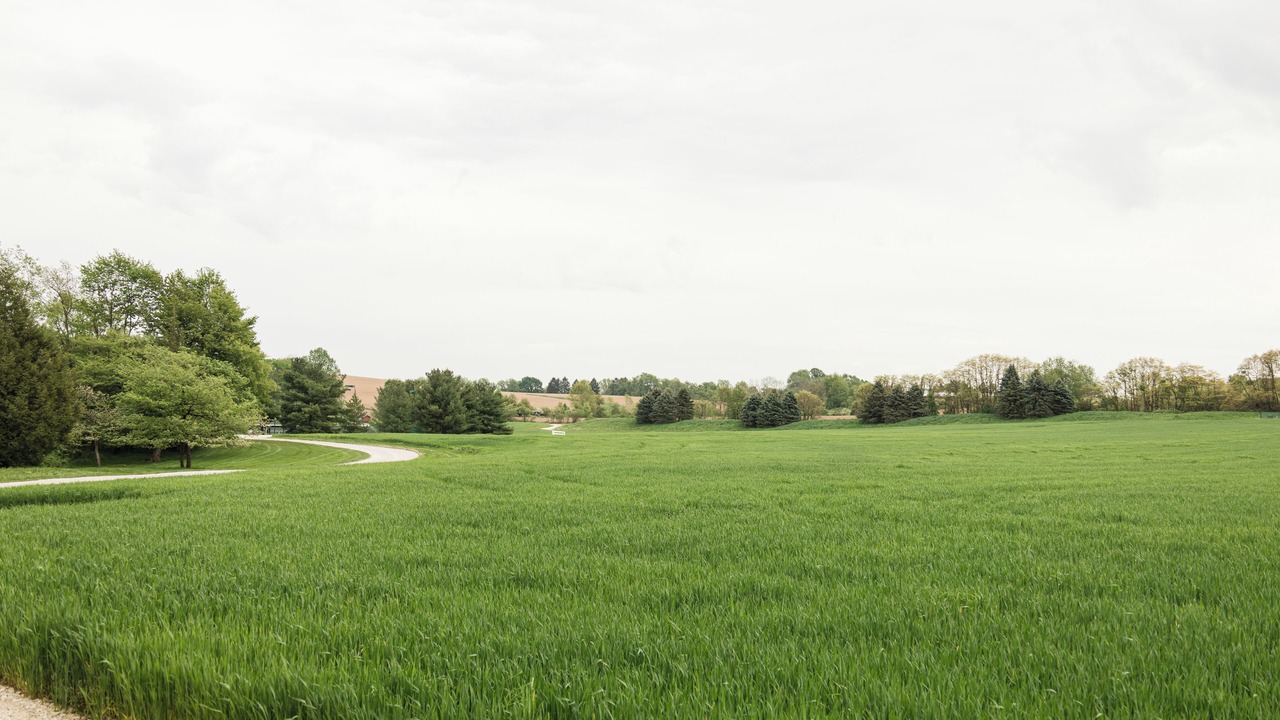 Photo of Others in Canal Fulton