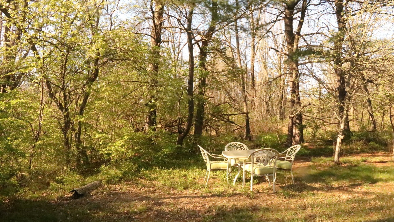 Photo of Outdoor in Hanover