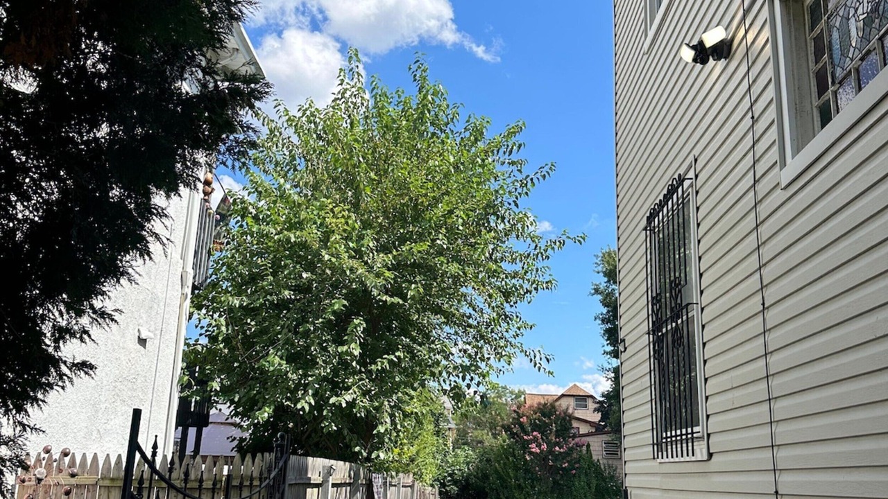 Photo of Outdoor in Elizabeth
