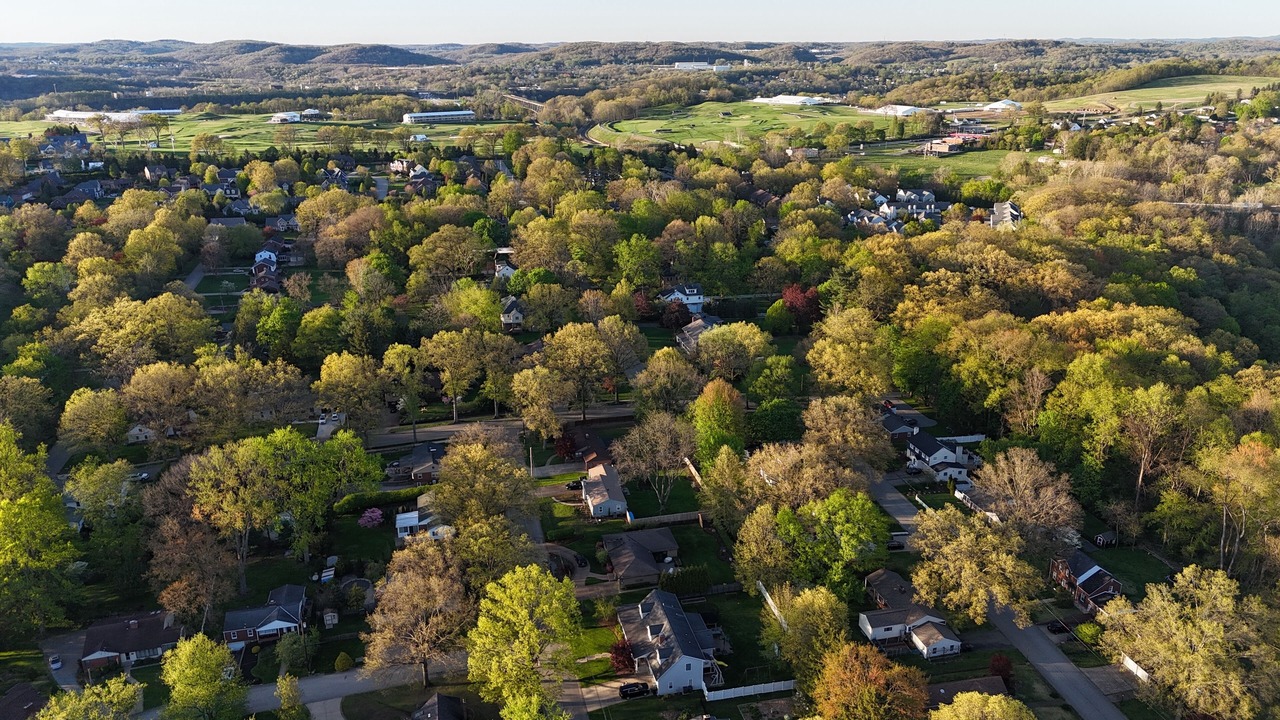 Photo of Outdoor in Dark Hollow Woods