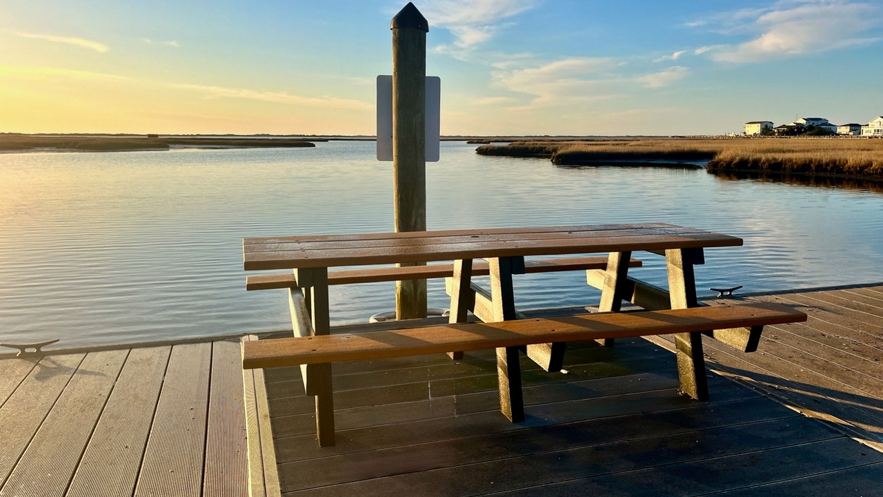 Photo of Outdoor in Bayside