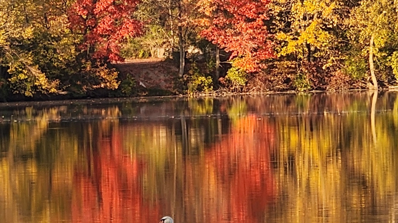 Photo of Others in Fayette