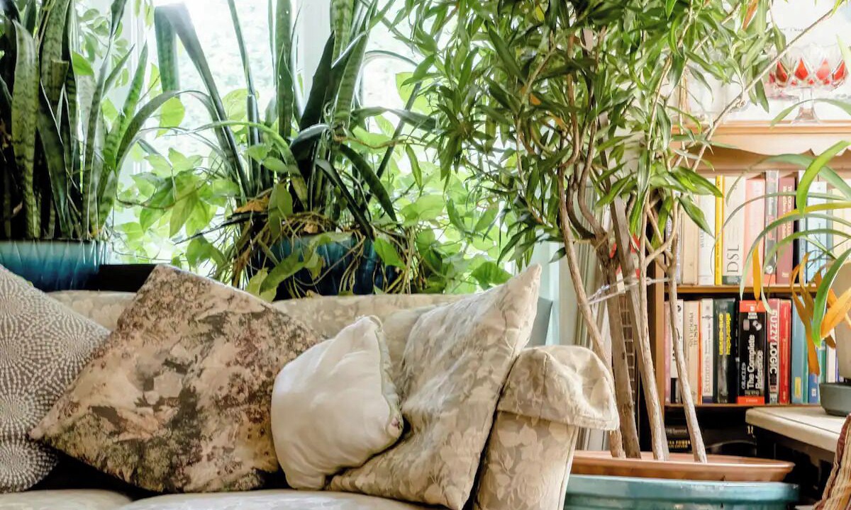 Photo of Livingroom in Cherry Hill