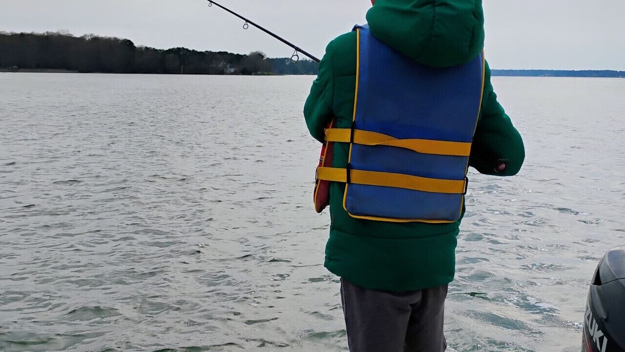 Photo of Others in St. Michaels