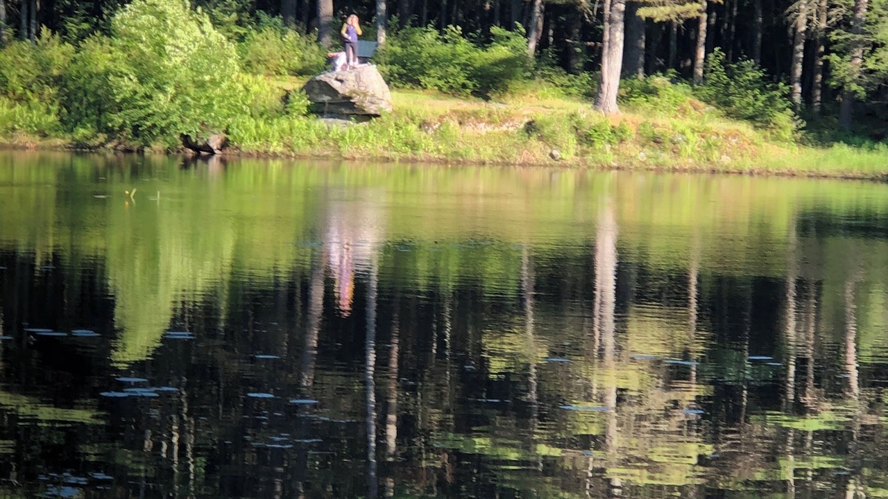 Photo of Others in White Mills