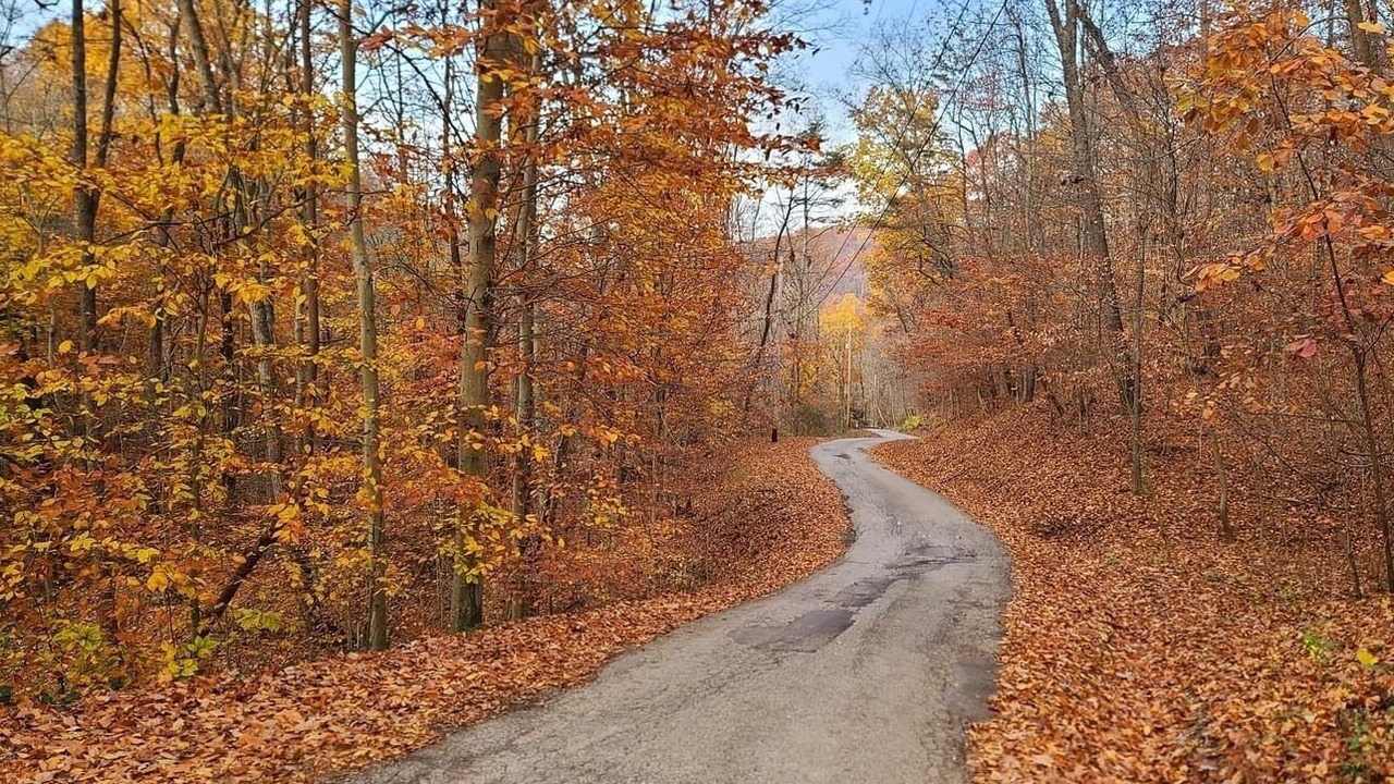 Photo of Others in Cross Lanes