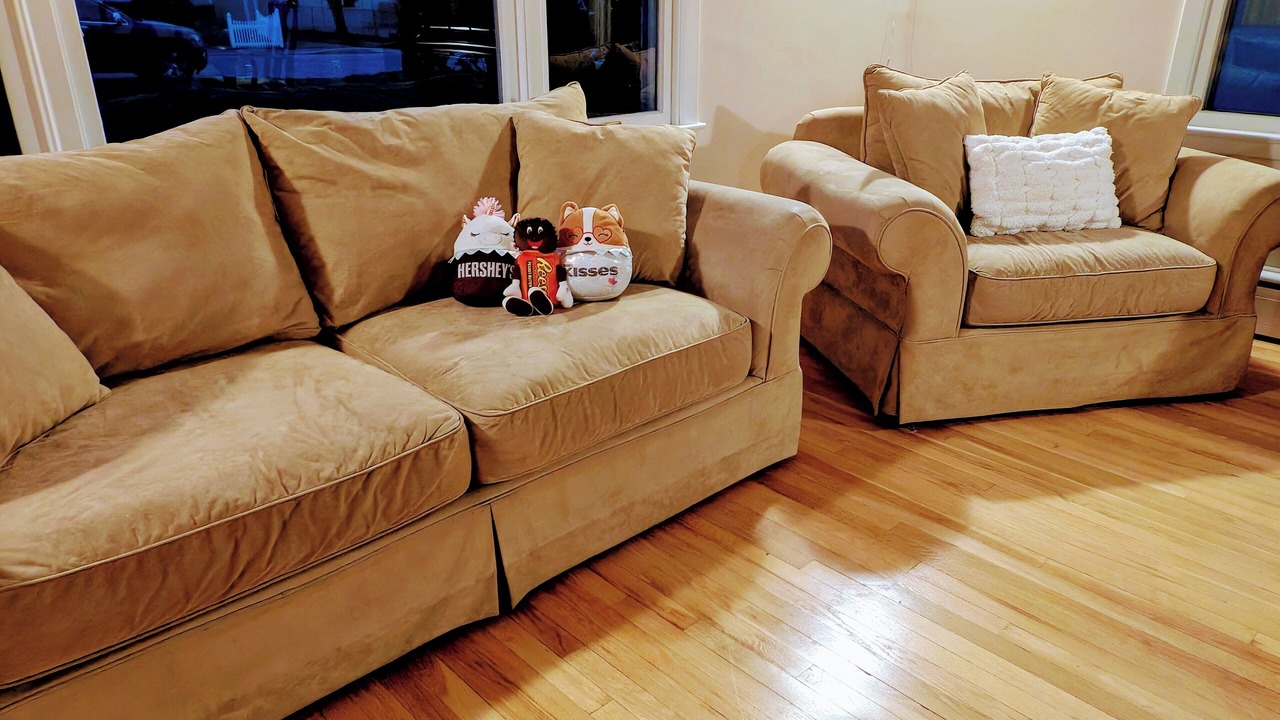 Photo of Livingroom in Palmyra