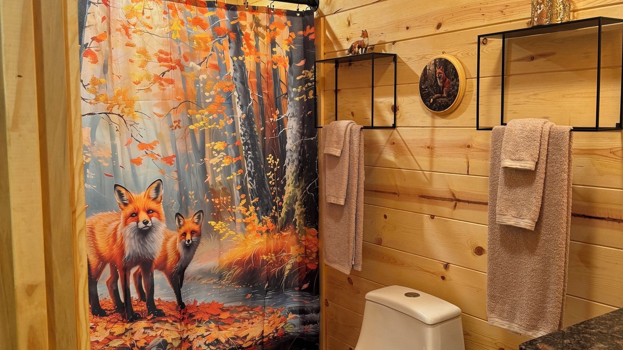 Photo of Bathroom in Argillite