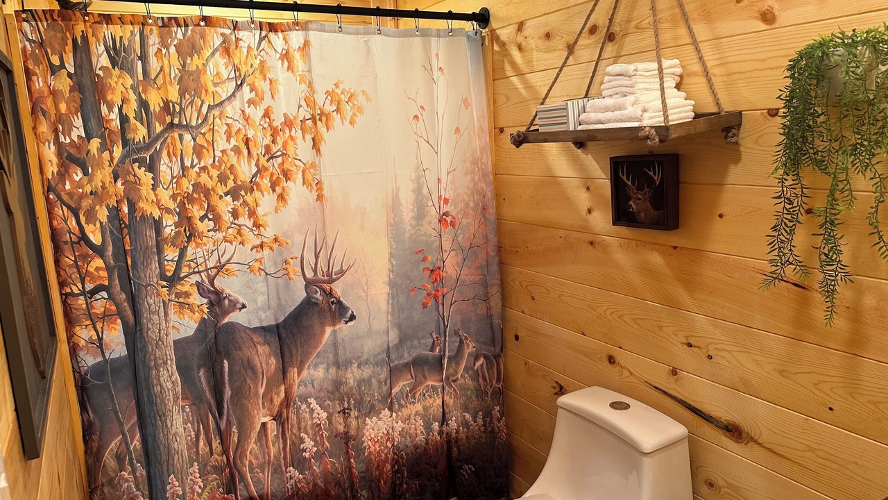 Photo of Bathroom in Argillite