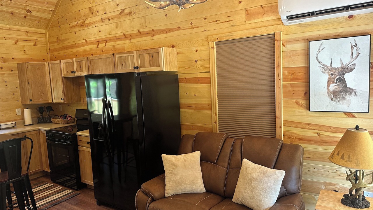 Photo of Livingroom in Argillite