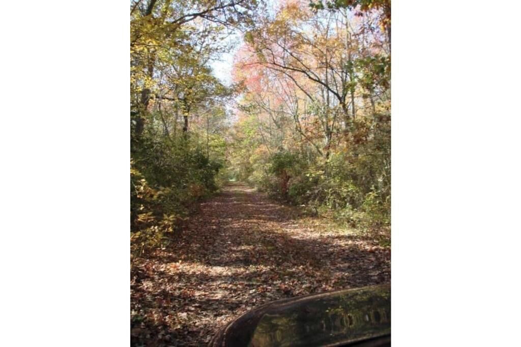 Photo of Others in Millville