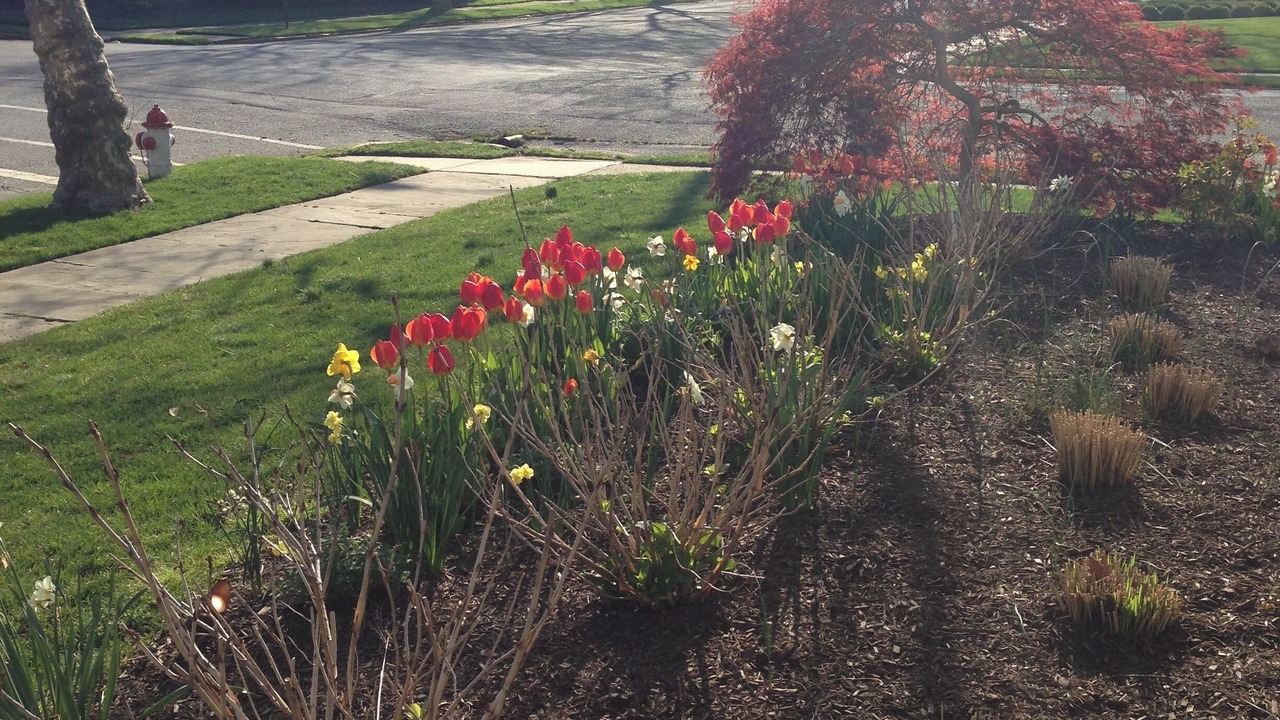 Photo of Outdoor in Spring Lake