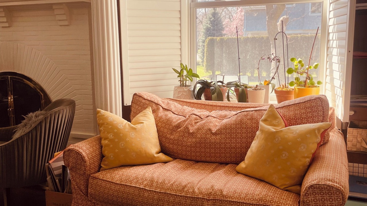 Photo of Livingroom in Spring Lake
