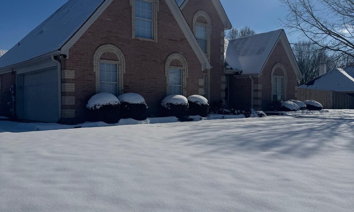 Photo of Outdoor in Olive Branch