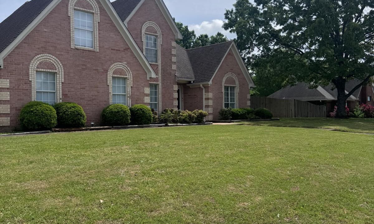 Photo of Outdoor in Olive Branch