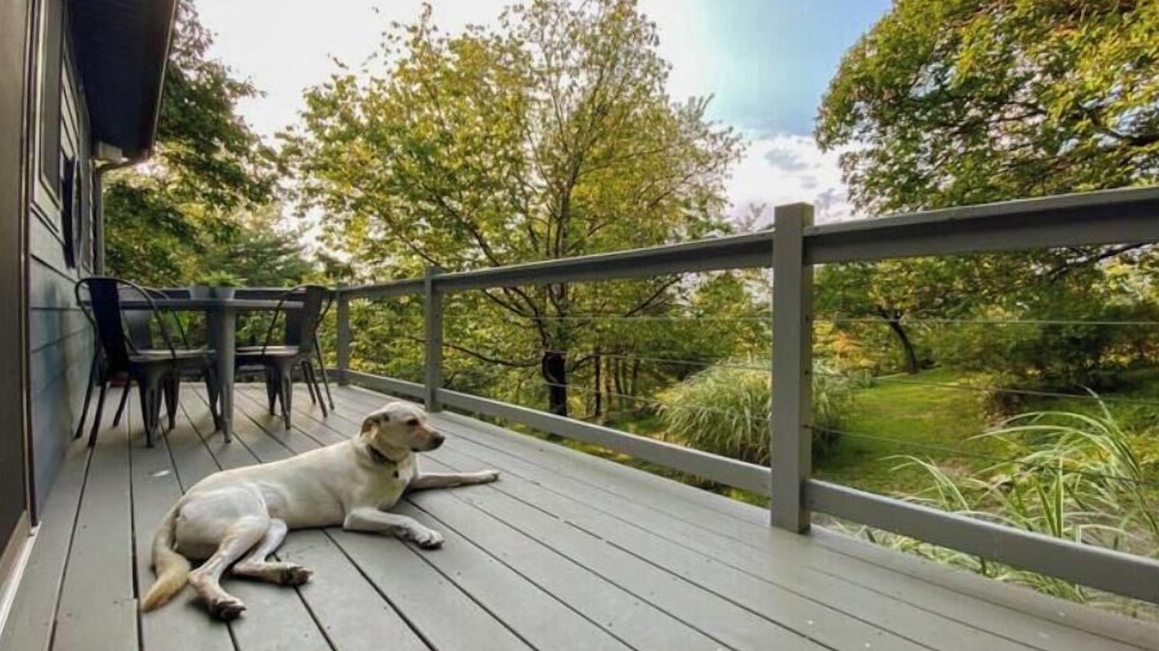 Photo of Outdoor in Berkeley Springs