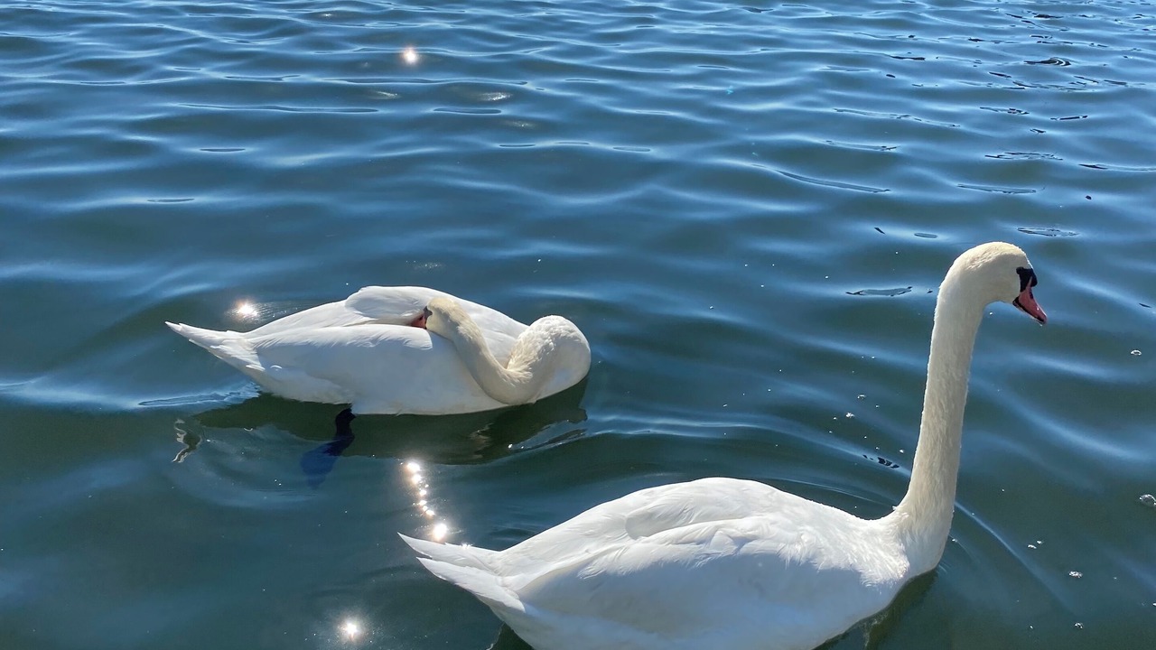 Photo of Others in Tuckerton Beach
