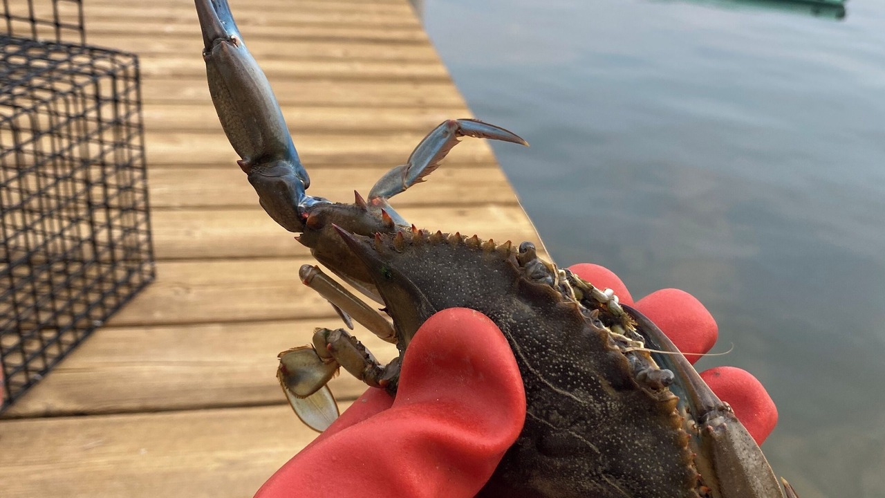 Photo of Others in Tuckerton Beach