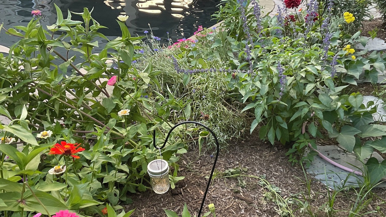 Photo of Outdoor in Homewood