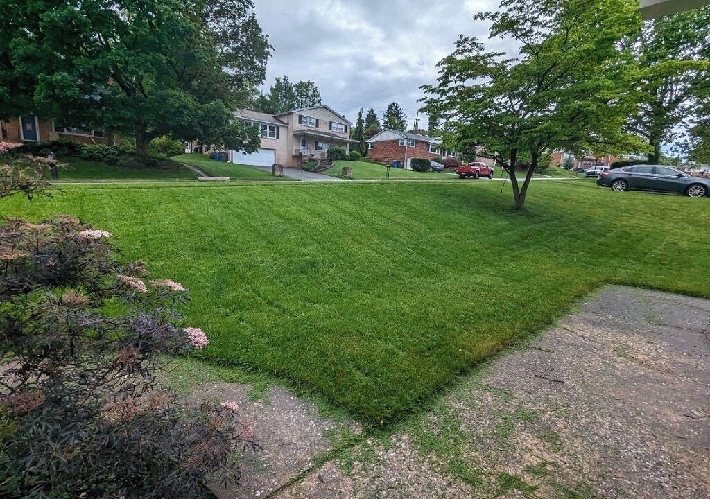 Photo of Outdoor in East York