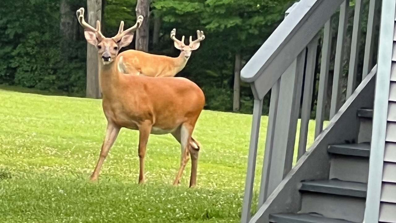 Photo of Outdoor in Columbus