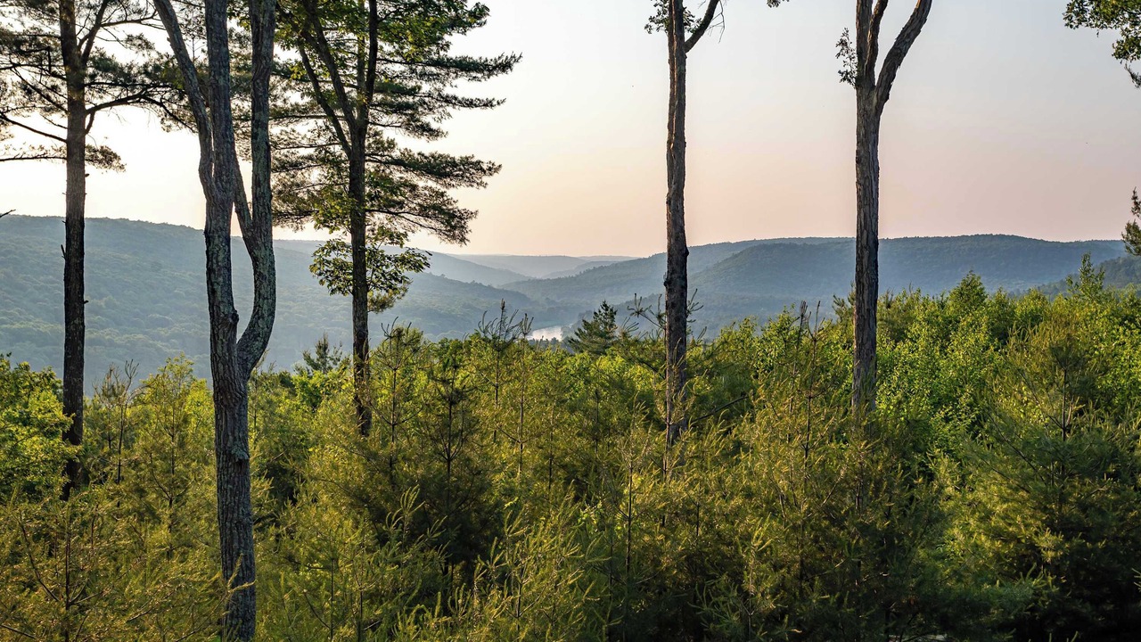 Photo of Others in Narrowsburg