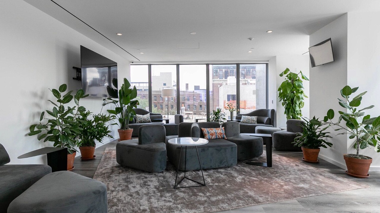 Photo of Livingroom in Crown Heights