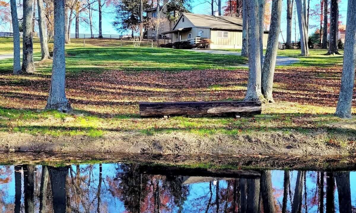 Photo of Outdoor in Tuscarora