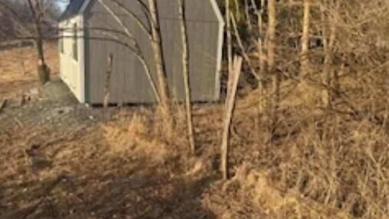 Photo of Outdoor in Mainesburg