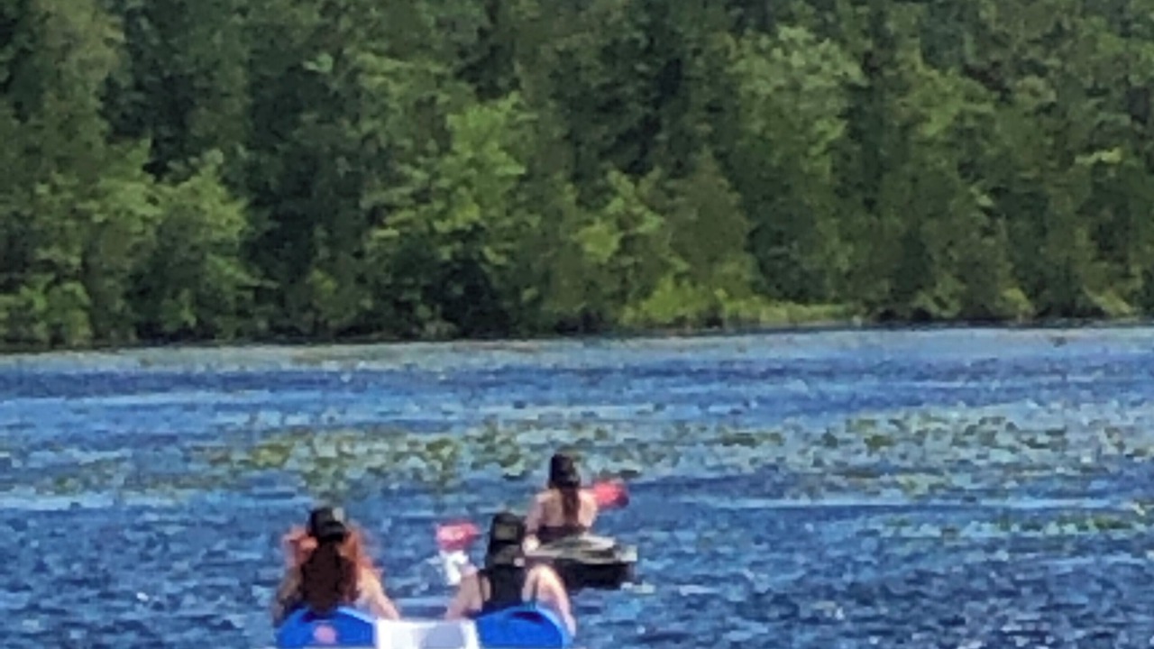 Photo of Others in Galloway