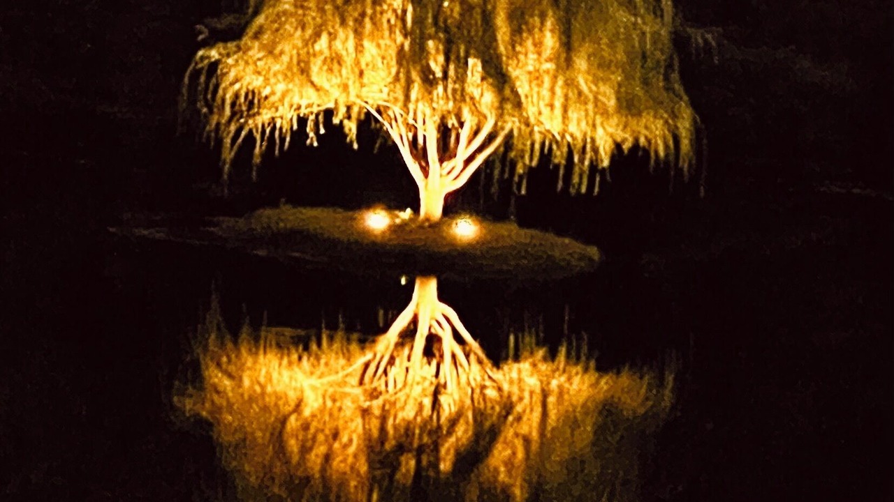 Photo of Outdoor in Galloway