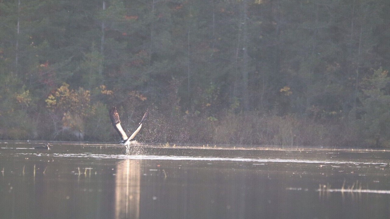 Photo of Others in Galloway
