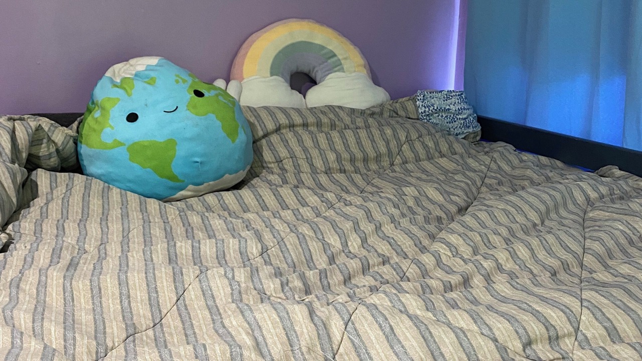 Photo of Bedroom in McGinley Square