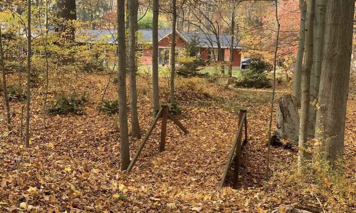 Photo of Outdoor in Austinburg