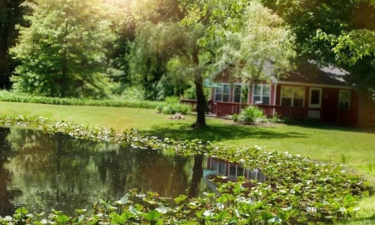 Photo of Outdoor in Austinburg