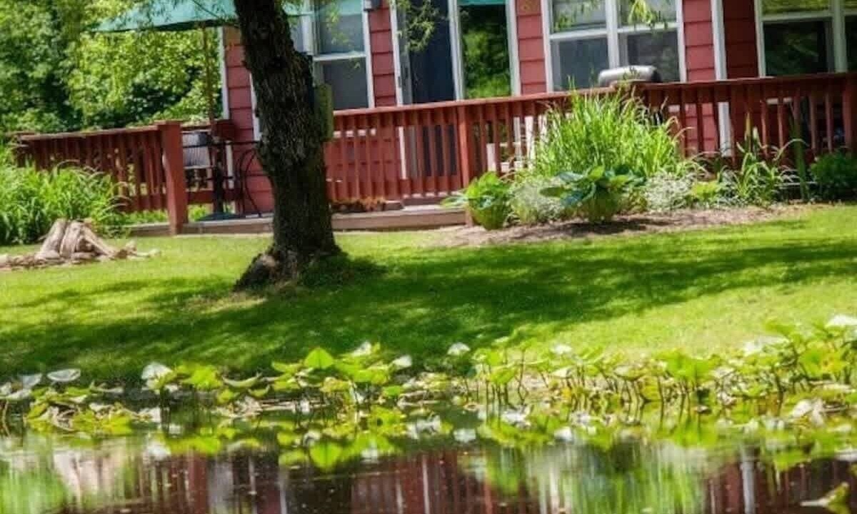 Photo of Outdoor in Austinburg