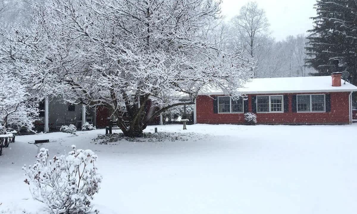 Photo of Outdoor in Austinburg