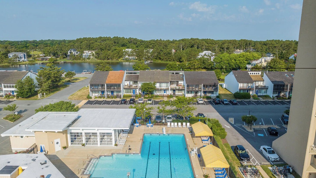 Photo of Others in North Shores