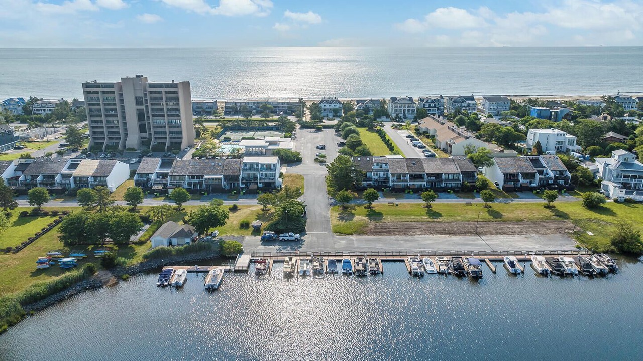Photo of Others in North Shores