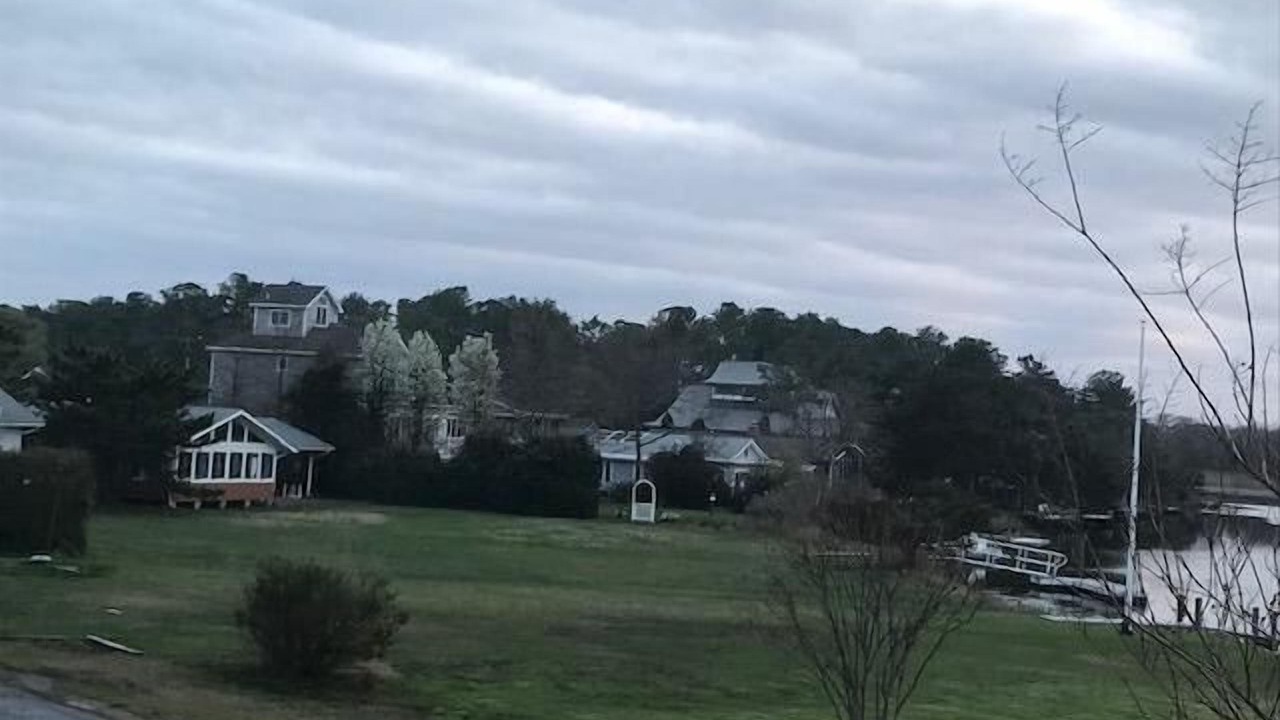 Photo of Others in North Shores