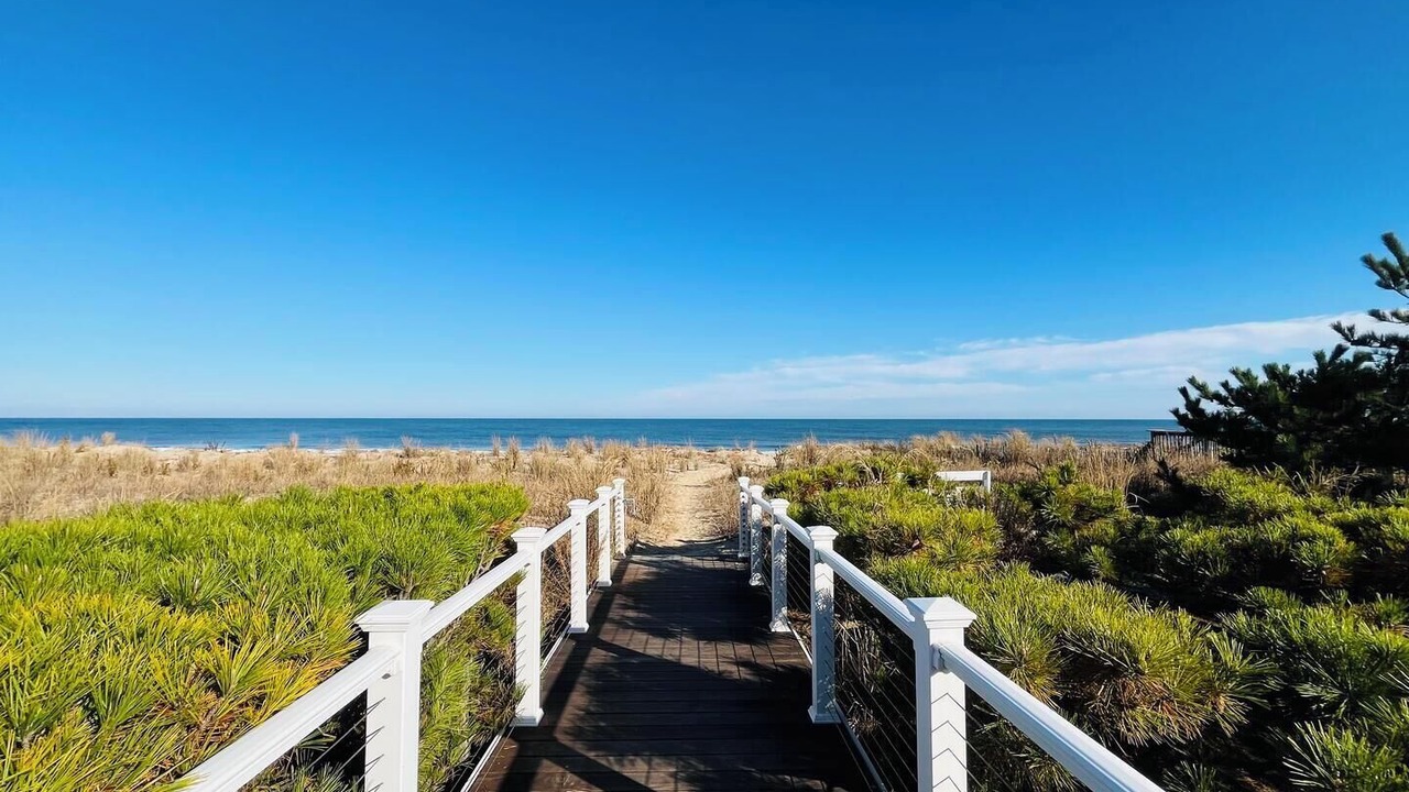Photo of Others in North Shores