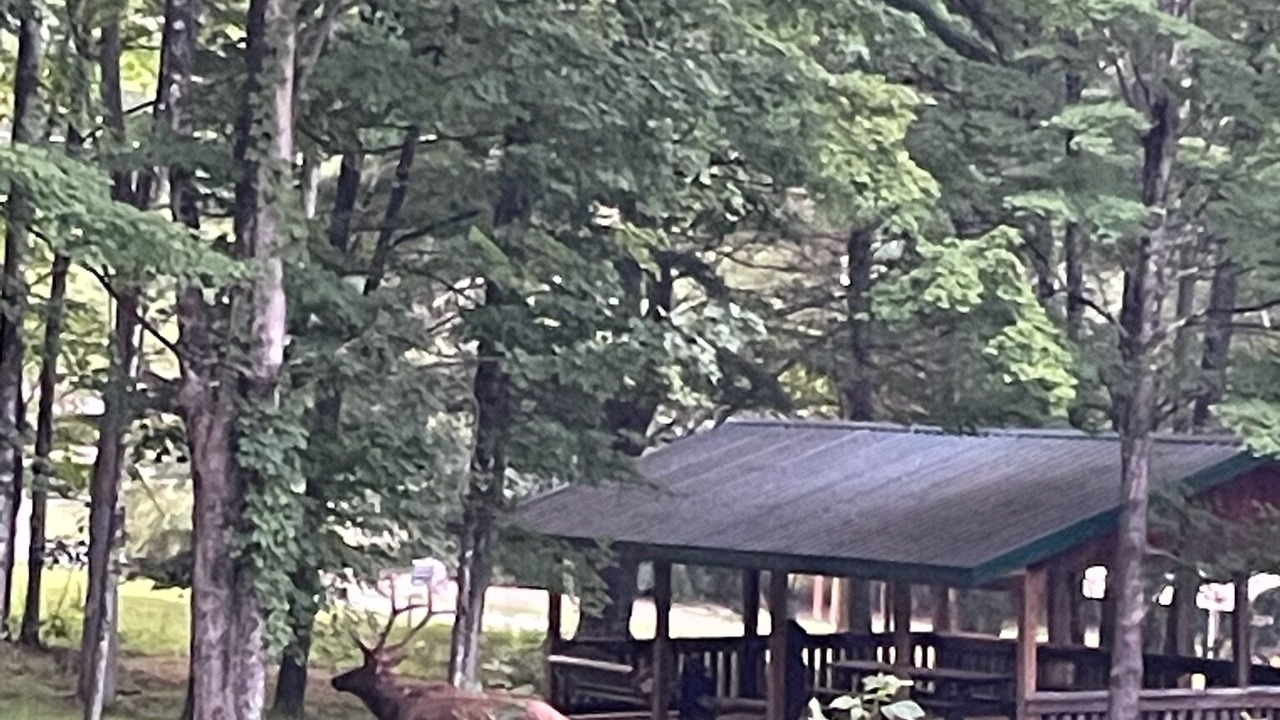 Photo of Outdoor in Benezette