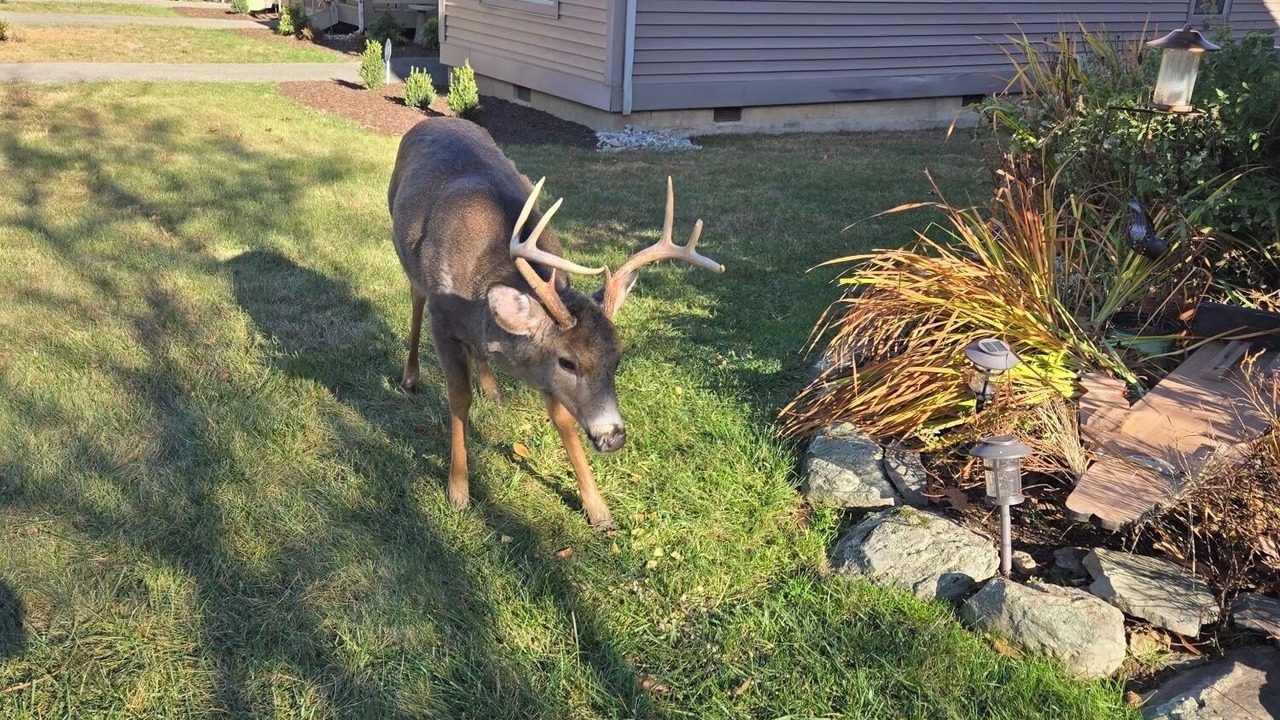 Photo of Outdoor in East Stroudsburg