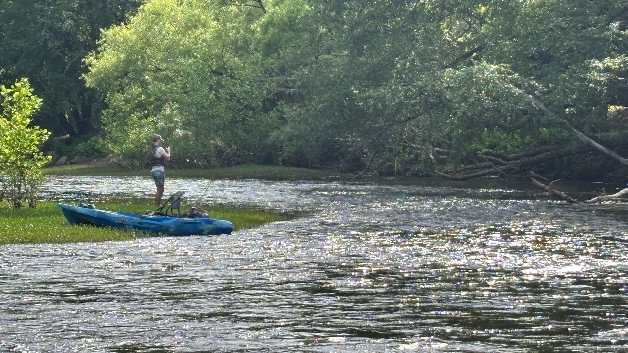 Photo of Others in Duck