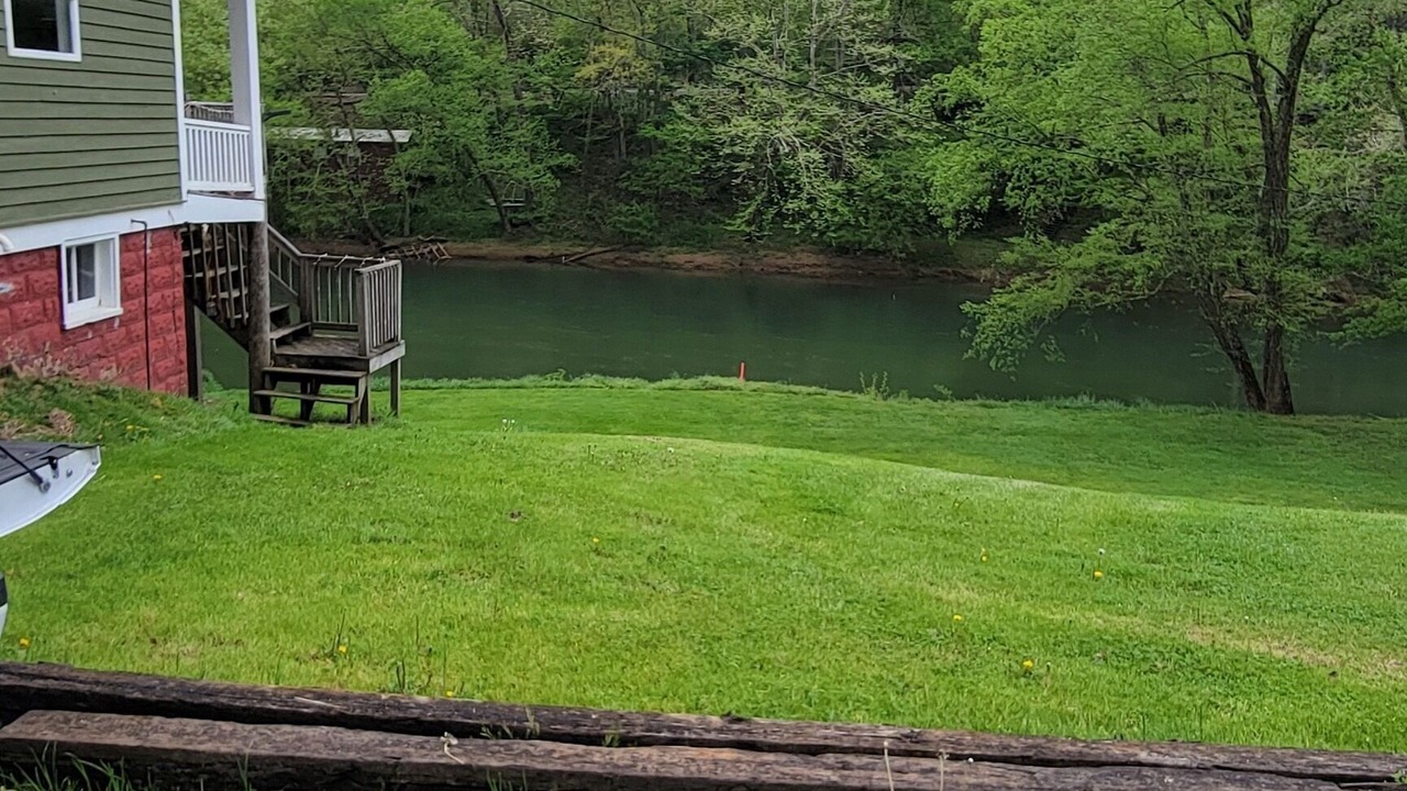 Photo of Outdoor in Duck