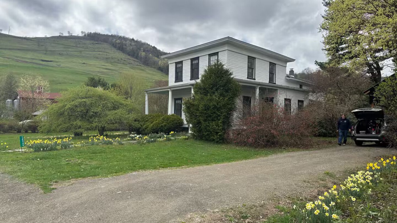 Photo of Outdoor in Downsville