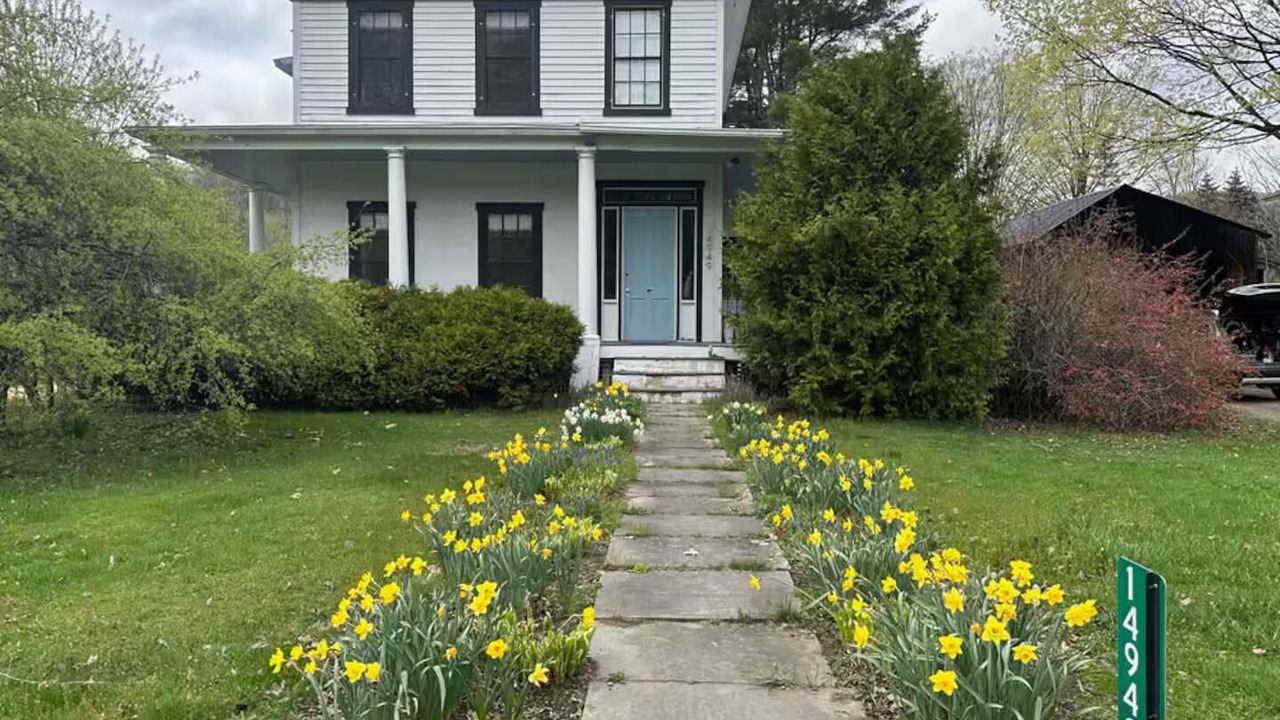 Photo of Outdoor in Downsville