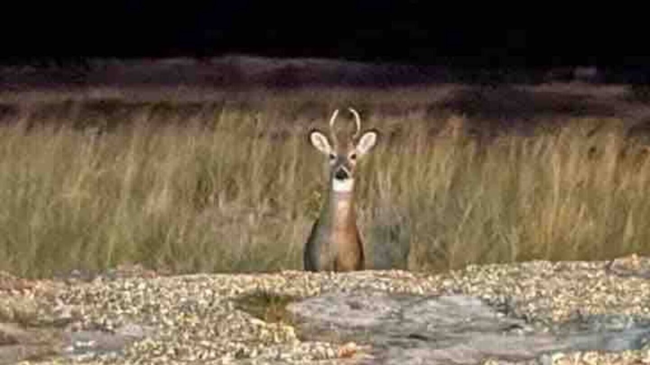 Photo of Others in Rumson