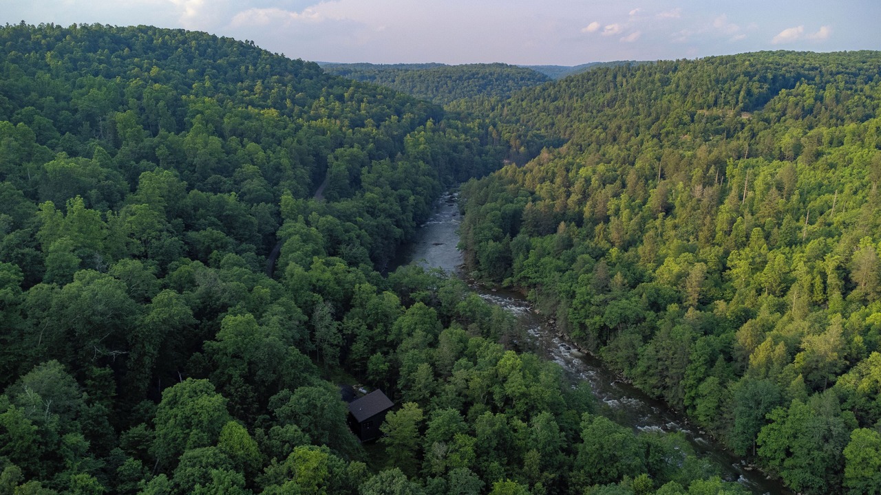 Photo of Others in Bruceton Mills