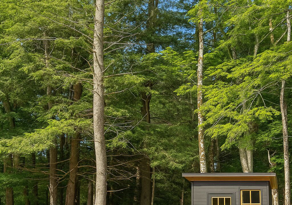 Photo of Outdoor in Swan Lake